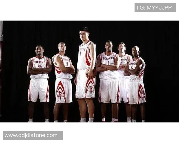 姚明模型对比分析及其在篮球运动中的应用探讨 姚明模型对比分析及其在篮球运动中的应用探讨