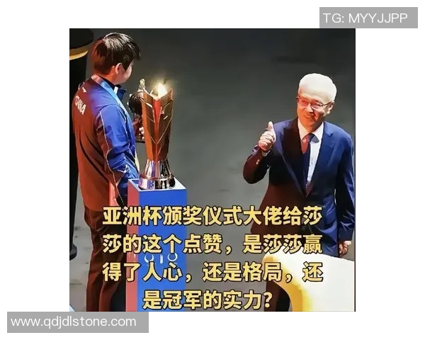 篮球界的璀璨明星们如何在赛场上闪耀光芒与成就传奇