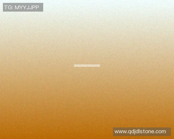梅州篮球明星的辉煌历史与发展轨迹探讨 梅州篮球明星的辉煌历史与发展轨迹探讨